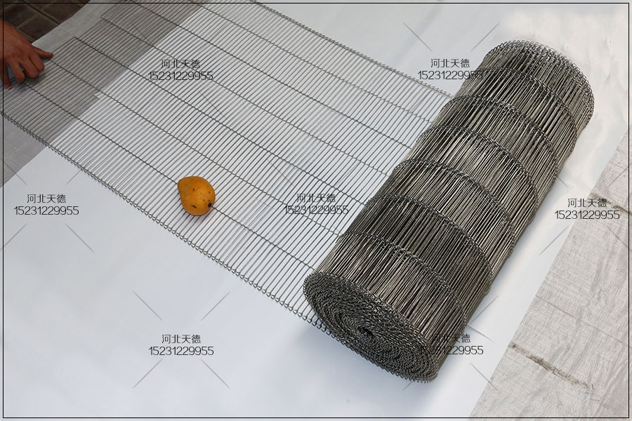 不锈钢传送网带